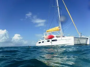 Used Sail Catamaran for Sale 2007 Leopard 46  