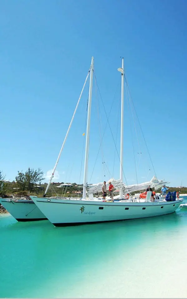 Used Sail Catamaran for Sale 2008 Custom Gaff Rigger Schooner 