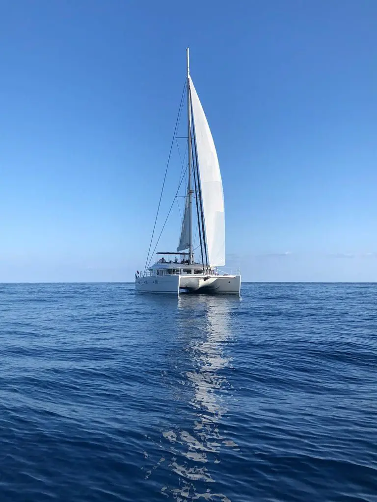 Used Sail Catamaran for Sale  Lagoon 620  